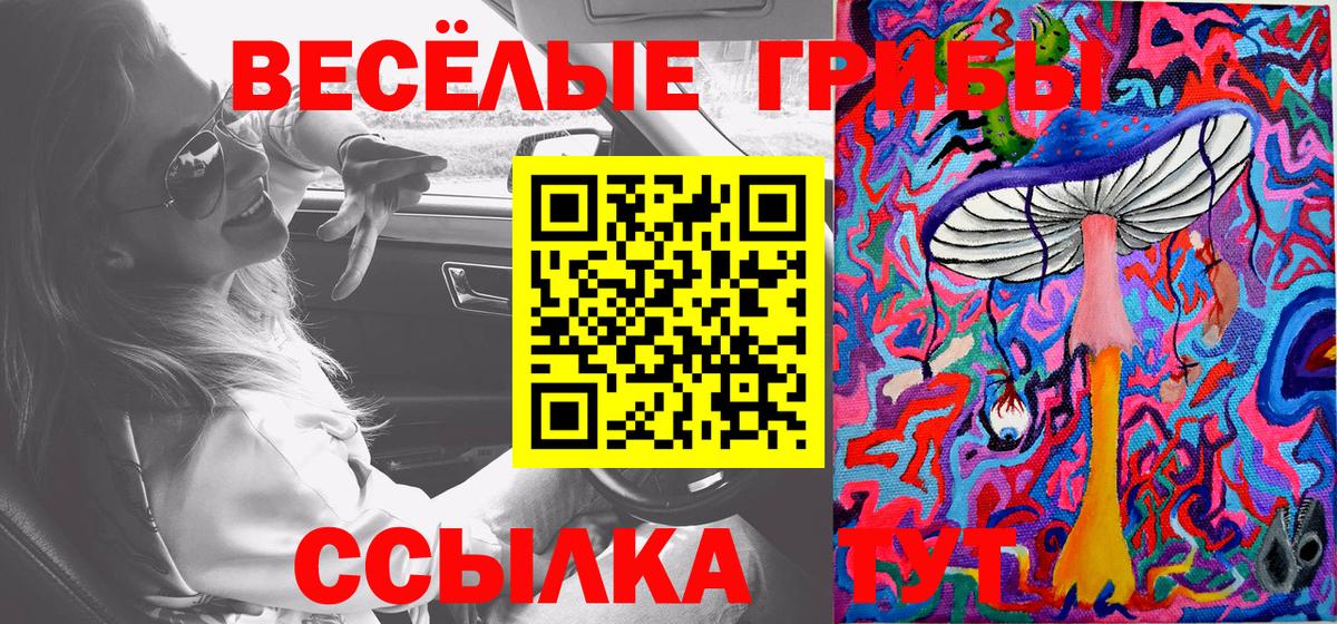 что такое наркотик  Галлюциногенные грибы прущие грибы  Качканар  Вход с VPN  Галлюциногенные грибы Psilocybe 