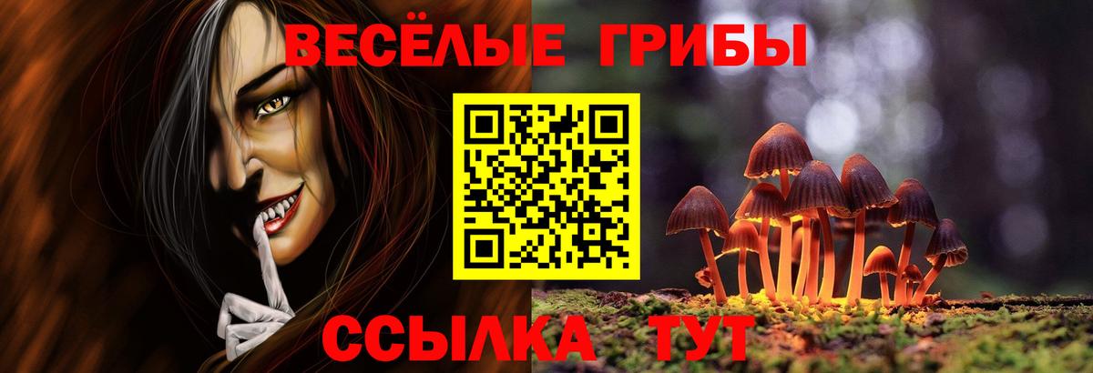 Псилоцибиновые грибы Cubensis Качканар